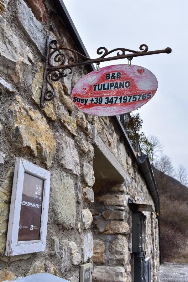 B&B Tulipano クロネ エクステリア 写真